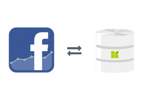 Facebook Insights to datapine connection