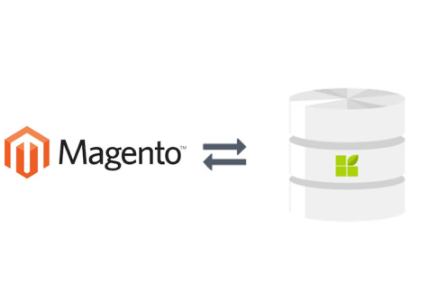 magento to datapine connection