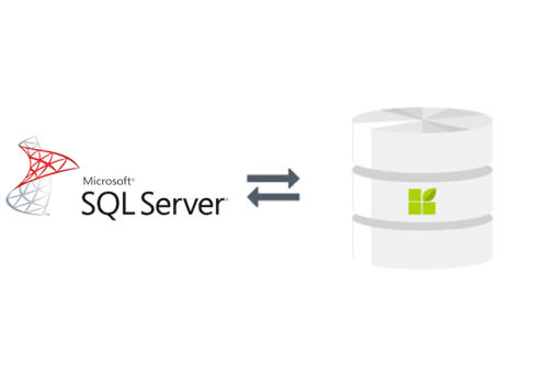 MS SQL Server to datapine connection