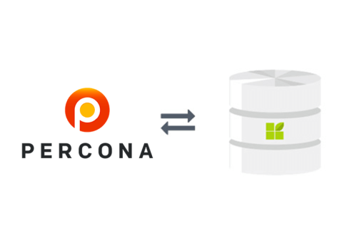 Percona connection to datapine