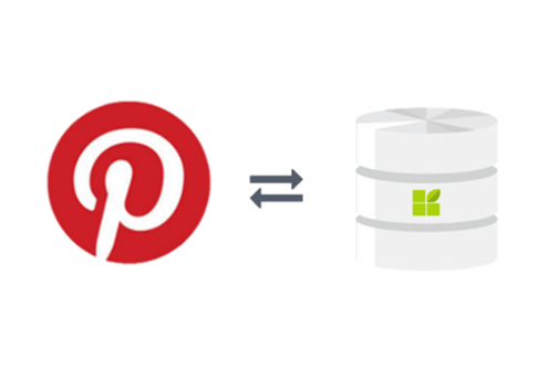 pinterest connection to datapine