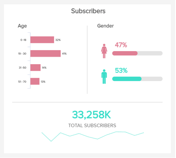 charts which visualize the age and gender of digital subscriber