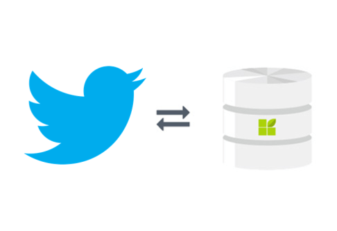 Twitter connection to datapine