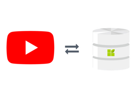 YouTube connection to datapine